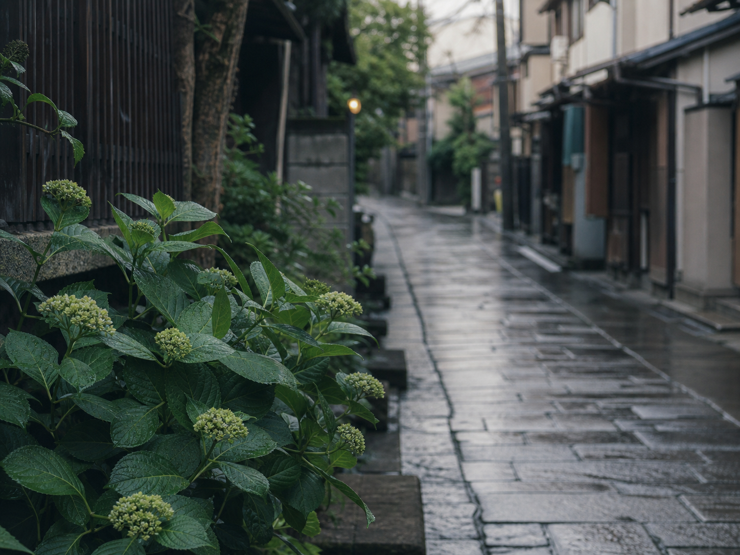 『紫陽花は、咲く前から雨の色を持っている』に残した、人物のいない小物や風景の観測写真。