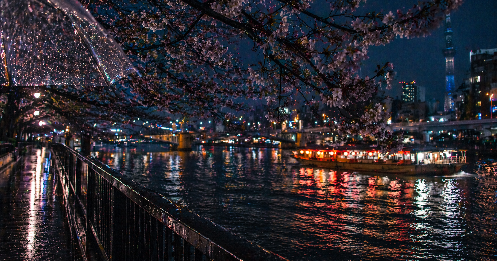 雨に濡れた隅田川沿いの夜桜。手前に透明な傘と濡れた歩道があり、川面には屋形船と街の灯りが揺れている。