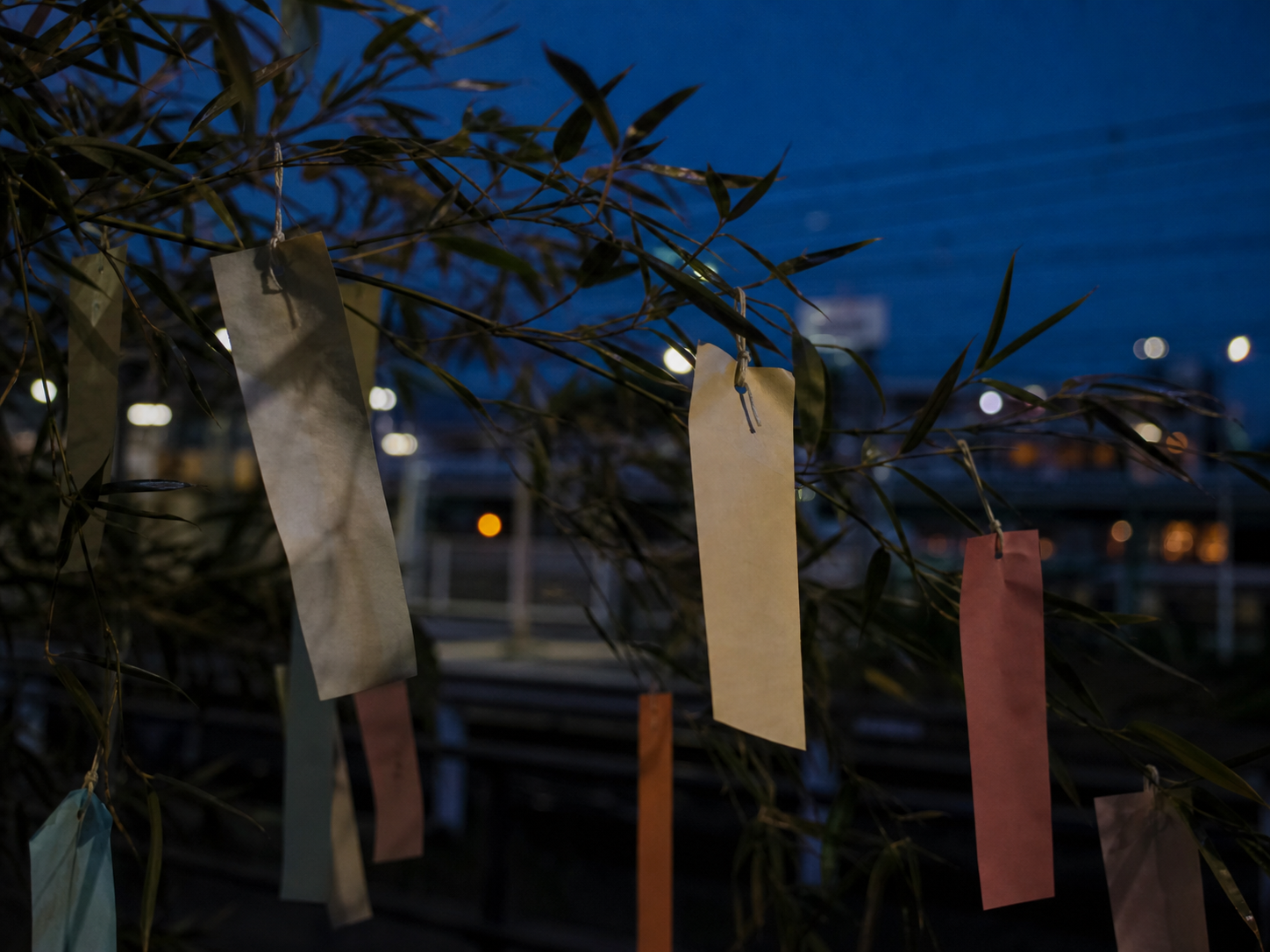 青い夕暮れの駅近くで、文字のない淡い色の短冊が竹の葉に揺れている。